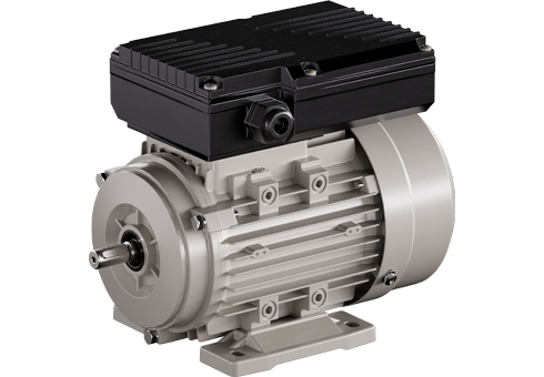 YL 雙值電容單相異步電動(dòng)機(jī)